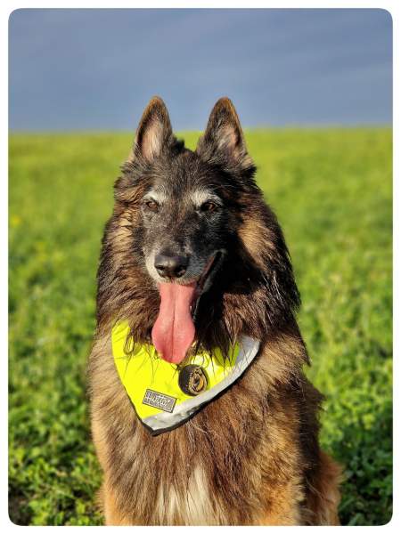 tervuren-mode.jpg