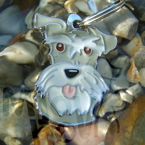 <h3>Custom personalized dog name tag Schnauzer pepper salt</h3>
This unique, cute and quality dog id tag is offered with laser-engraved name and phone number or your custom text. It comes with a stainless steel split ring for easy attachment to your pet’s collar. All items are also available as keychains.
A perfect gift for dogs and dog lovers.

<strong>Color:</strong> colored/silver
<strong>Size:</strong> 24 x 33 mm (0.94 x 1.30 inch)
<strong>Engraving area:</strong> 20 x 11 mm (0.79 x 0.43 inch); recommended layout up to 4 lines, 15 characters per line.

Laser engraving on the back side is included in the price. Please enter the text you would like engraved (recommended: dog’s name and phone number). The engraving will be centered and easy to read. 
<strong>Important:</strong> If you exceed the recommended text length, the engraving will be significantly smaller and may become difficult to read. For best readability, we strongly recommend keeping the text short and clear.

Metal, chrome plated dog tag or key ring. 
Hand made, hand colored, made in Slovenia. 

In stock.

<h3>About the breed – Schnauzer pepper salt</h3>
<section>
<h2>Schnauzer: Characteristics & Care</h2>
<p><strong>Schnauzer</strong> is a versatile, intelligent, and lively dog breed originating from Germany. It comes in three sizes—Miniature, Standard, and Giant—and belongs to the <strong>FCI Group 2 (Pinschers, Schnauzers, Molossoid and Swiss Mountain Dogs)</strong>. Originally bred as a <strong>working and watchdog breed</strong>, it is recognizable for its wiry coat, distinctive beard, and expressive eyebrows.</p>
<h3>Temperament and Family Life</h3>
<p>Schnauzers are loyal, brave, and strongly attached to their families, making them excellent family dogs that get along well with children. They are <strong>alert, protective, and intelligent</strong>, which makes them reliable watchdogs while still being playful and sociable. Their energetic and confident nature requires consistent training and sufficient mental stimulation.</p>
<h3>Physical Requirements & Exercise</h3>
<p>To live a healthy and happy life, a Schnauzer needs:</p>
<ul>
    <li><strong>Daily Exercise:</strong> Regular walks, active play, and mental challenges.</li>
    <li><strong>Environment:</strong> Adaptable to apartment or house living with enough activity.</li>
    <li><strong>Grooming:</strong> Regular brushing and trimming of the characteristic <strong>wiry coat</strong>.</li>
</ul>
<p><strong>Pro Tip:</strong> A personalized engraved dog tag is an elegant accessory that highlights the Schnauzer’s distinctive look while also ensuring its safety.</p>
</section>
