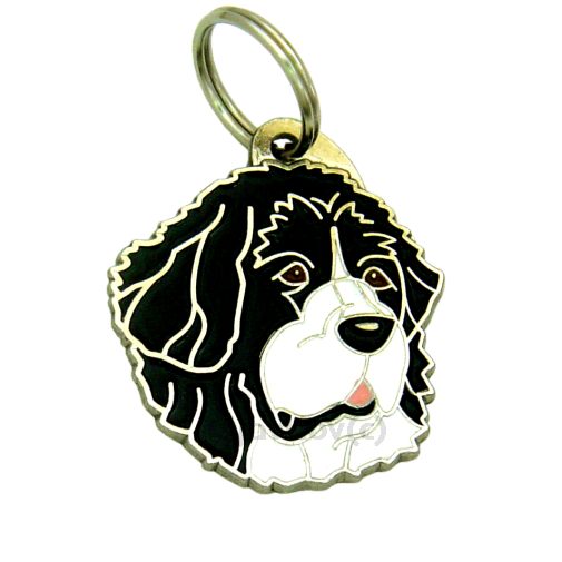 <h3>Custom personalized dog name tag Landseer black and white</h3>
This unique, cute and quality dog id tag is offered with laser-engraved name and phone number or your custom text. It comes with a stainless steel split ring for easy attachment to your pet’s collar. All items are also available as keychains.
A perfect gift for dogs and dog lovers.

<strong>Color:</strong> colored/silver
<strong>Size:</strong> 32 x 36 mm (1.26 x 1.42 inch)
<strong>Engraving area:</strong> 23 x 20 mm (0.91 x 0.79 inch); recommended layout up to 4 lines, 15 characters per line.

Laser engraving on the back side is included in the price. Please enter the text you would like engraved (recommended: dog’s name and phone number). The engraving will be centered and easy to read. 
<strong>Important:</strong> If you exceed the recommended text length, the engraving will be significantly smaller and may become difficult to read. For best readability, we strongly recommend keeping the text short and clear.

Metal, chrome plated dog tag or key ring. 
Hand made, hand colored, made in Slovenia. 

In stock.

<h3>About the breed – Landseer black and white</h3>
<section>
<h2>Landseer: Characteristics & Care</h2>
<p>The <strong>Landseer</strong> (Landseer ECT) is a large, noble, and gentle dog breed closely related to the Newfoundland, originating from Europe. It belongs to the <strong>FCI Group 2 (Pinscher and Schnauzer, Molossoid breeds, and Swiss Mountain Dogs)</strong>. Bred as a <strong>working and family dog</strong>, it is known for its striking black and white coat, strong build, and calm, friendly nature.</p>
<h3>Temperament and Family Life</h3>
<p>Landseers are exceptionally affectionate family dogs, excellent with children and very devoted to their owners. They are <strong>alert, intelligent, and attentive</strong>, which makes them reliable watchdogs while remaining gentle and approachable. Their calm yet playful personality makes them suitable for families who appreciate both relaxation and outdoor activities.</p>
<h3>Physical Requirements & Exercise</h3>
<p>To live a healthy and happy life, a Landseer needs:</p>
<ul>
    <li><strong>Daily Exercise:</strong> Moderate to higher activity, including walks, swimming, and play.</li>
    <li><strong>Environment:</strong> A spacious home with access to outdoor areas and close family contact.</li>
    <li><strong>Grooming:</strong> Regular brushing of the thick, water-resistant <strong>double coat</strong>.</li>
</ul>
<p><strong>Pro Tip:</strong> A <strong>personalized engraved dog tag</strong> highlights the impressive and elegant appearance of your Landseer while serving as a stylish and practical accessory.</p>
</section>

