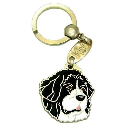 <h3>Custom personalized dog name tag Landseer black and white</h3>
This unique, cute and quality dog id tag is offered with laser-engraved name and phone number or your custom text. It comes with a stainless steel split ring for easy attachment to your pet’s collar. All items are also available as keychains.
A perfect gift for dogs and dog lovers.

<strong>Color:</strong> colored/silver
<strong>Size:</strong> 32 x 36 mm (1.26 x 1.42 inch)
<strong>Engraving area:</strong> 23 x 20 mm (0.91 x 0.79 inch); recommended layout up to 4 lines, 15 characters per line.

Laser engraving on the back side is included in the price. Please enter the text you would like engraved (recommended: dog’s name and phone number). The engraving will be centered and easy to read. 
<strong>Important:</strong> If you exceed the recommended text length, the engraving will be significantly smaller and may become difficult to read. For best readability, we strongly recommend keeping the text short and clear.

Metal, chrome plated dog tag or key ring. 
Hand made, hand colored, made in Slovenia. 

In stock.

<h3>About the breed – Landseer black and white</h3>
<section>
<h2>Landseer: Characteristics & Care</h2>
<p>The <strong>Landseer</strong> (Landseer ECT) is a large, noble, and gentle dog breed closely related to the Newfoundland, originating from Europe. It belongs to the <strong>FCI Group 2 (Pinscher and Schnauzer, Molossoid breeds, and Swiss Mountain Dogs)</strong>. Bred as a <strong>working and family dog</strong>, it is known for its striking black and white coat, strong build, and calm, friendly nature.</p>
<h3>Temperament and Family Life</h3>
<p>Landseers are exceptionally affectionate family dogs, excellent with children and very devoted to their owners. They are <strong>alert, intelligent, and attentive</strong>, which makes them reliable watchdogs while remaining gentle and approachable. Their calm yet playful personality makes them suitable for families who appreciate both relaxation and outdoor activities.</p>
<h3>Physical Requirements & Exercise</h3>
<p>To live a healthy and happy life, a Landseer needs:</p>
<ul>
    <li><strong>Daily Exercise:</strong> Moderate to higher activity, including walks, swimming, and play.</li>
    <li><strong>Environment:</strong> A spacious home with access to outdoor areas and close family contact.</li>
    <li><strong>Grooming:</strong> Regular brushing of the thick, water-resistant <strong>double coat</strong>.</li>
</ul>
<p><strong>Pro Tip:</strong> A <strong>personalized engraved dog tag</strong> highlights the impressive and elegant appearance of your Landseer while serving as a stylish and practical accessory.</p>
</section>
