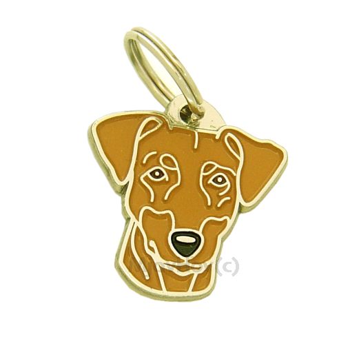 <h3>Custom personalized dog name tag Pinscher red</h3>
This unique, cute and quality dog id tag is offered with laser-engraved name and phone number or your custom text. It comes with a stainless steel split ring for easy attachment to your pet’s collar. All items are also available as keychains.
A perfect gift for dogs and dog lovers.

<strong>Color:</strong> colored/silver
<strong>Size:</strong> 29 x 30 mm (1.14 x 1.18 inch)
<strong>Engraving area:</strong> 20 x 12 mm (0.79 x 0.47 inch); recommended layout up to 4 lines, 15 characters per line.

Laser engraving on the back side is included in the price. Please enter the text you would like engraved (recommended: dog’s name and phone number). The engraving will be centered and easy to read. 
<strong>Important:</strong> If you exceed the recommended text length, the engraving will be significantly smaller and may become difficult to read. For best readability, we strongly recommend keeping the text short and clear.

Metal, chrome plated dog tag or key ring. 
Hand made, hand colored, made in Slovenia. 

In stock.

<h3>About the breed – Pinscher red</h3>
<section>
<h2>German Pinscher (Pinscher): Characteristics & Care</h2>
<p><strong>German Pinscher</strong> is a medium-sized, elegant, and energetic dog breed originating from Germany. It belongs to the <strong>FCI Group 2 (Pinschers and Schnauzers)</strong>. It was bred as a <strong>working and family dog</strong>, known for its short, smooth coat, athletic build, and lively temperament.</p>
<h3>Temperament and Family Life</h3>
<p>Pinschers are loyal and affectionate family dogs that form strong bonds with their owners and get along well with children if properly socialized. They are <strong>very alert, intelligent, and confident</strong>, making them excellent watchdogs that quickly notice any changes in their surroundings. Their playful, curious, and active nature makes them suitable for dynamic families.</p>
<h3>Physical Requirements & Exercise</h3>
<p>For a healthy and balanced life, a German Pinscher needs:</p>
<ul>
    <li><strong>Regular exercise:</strong> Daily walks, running, play, and mental stimulation.</li>
    <li><strong>Environment:</strong> An active household with enough space and attention.</li>
    <li><strong>Grooming:</strong> Minimal care of the short, <strong>smooth coat</strong> with occasional brushing.</li>
</ul>
<p><strong>Pro Tip:</strong> A personalized engraved dog tag is an elegant and practical accessory that highlights the proud appearance of the German Pinscher.</p>
</section>
