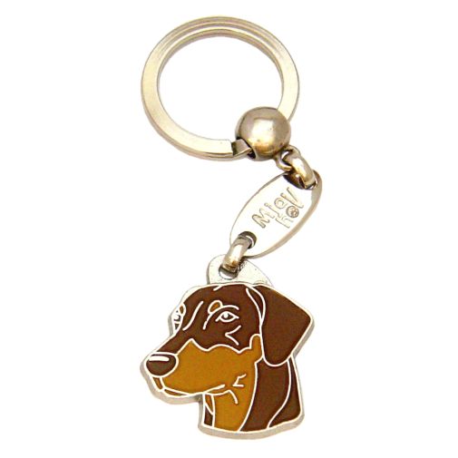 <h3>Custom personalized dog name tag Doberman brown</h3>
This unique, cute and quality dog id tag is offered with laser-engraved name and phone number or your custom text. It comes with a stainless steel split ring for easy attachment to your pet’s collar. All items are also available as keychains.
A perfect gift for dogs and dog lovers.

<strong>Color:</strong> colored/silver
<strong>Size:</strong> 28 x 32 mm (1.10 x 1.26 inch)
<strong>Engraving area:</strong> 19 x 16 mm (0.75 x 0.63 inch); recommended layout up to 4 lines, 15 characters per line.

Laser engraving on the back side is included in the price. Please enter the text you would like engraved (recommended: dog’s name and phone number). The engraving will be centered and easy to read. 
<strong>Important:</strong> If you exceed the recommended text length, the engraving will be significantly smaller and may become difficult to read. For best readability, we strongly recommend keeping the text short and clear.

Metal, chrome plated dog tag or key ring. 
Hand made, hand colored, made in Slovenia. 

In stock.

<h3>About the breed – Doberman brown</h3>
<section>
<h2>Doberman (Dobermann): Characteristics & Care</h2>
<p>The <strong>Doberman</strong> (Dobermann) is a medium to large, elegant and powerful dog breed originating from Germany. It belongs to the <strong>FCI Group 2 (Pinschers, Schnauzers, Molossoid breeds and Swiss Mountain Dogs)</strong>. It was bred as a <strong>reliable guard and family dog</strong>, known for its short, smooth coat, athletic build, and exceptional intelligence.</p>
<h3>Temperament and Family Life</h3>
<p>Dobermans are extremely <strong>loyal, protective, and attached</strong> to their owners, making them excellent family dogs that can do well with children when properly trained. They are <strong>alert, brave, and highly trainable</strong>, which makes them outstanding watchdogs while remaining loving and stable companions. Their energetic and confident nature requires consistent training and sufficient mental stimulation.</p>
<h3>Physical Requirements & Exercise</h3>
<p>To live a healthy and balanced life, a Doberman needs:</p>
<ul>
    <li><strong>Daily Exercise:</strong> Intensive activities, running, training, and long walks.</li>
    <li><strong>Environment:</strong> An active environment with plenty of space and close connection to family.</li>
    <li><strong>Grooming:</strong> Minimal care of the short, <strong>smooth coat</strong> with occasional brushing.</li>
</ul>
<p><strong>Pro Tip:</strong> A personalized engraved dog tag highlights the elegant and confident appearance of your Doberman while serving as a practical and stylish accessory.</p>
</section>
