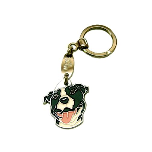 <h3>Custom personalized dog name tag American staffordshire terrier</h3>
This unique, cute and quality dog id tag is offered with laser-engraved name and phone number or your custom text. It comes with a stainless steel split ring for easy attachment to your pet’s collar. All items are also available as keychains.
A perfect gift for dogs and dog lovers.

<strong>Color:</strong> colored/silver
<strong>Size:</strong> 32 x 33 mm (1.26 x 1.30 inch)
<strong>Engraving area:</strong> 20 x 19 mm (0.79 x 0.75 inch); recommended layout up to 4 lines, 15 characters per line.

Laser engraving on the back side is included in the price. Please enter the text you would like engraved (recommended: dog’s name and phone number). The engraving will be centered and easy to read. 
<strong>Important:</strong> If you exceed the recommended text length, the engraving will be significantly smaller and may become difficult to read. For best readability, we strongly recommend keeping the text short and clear.

Metal, chrome plated dog tag or key ring. 
Hand made, hand colored, made in Slovenia. 

In stock.

<h3>About the breed – American staffordshire terrier</h3>
<section>
<h2>American Staffordshire Terrier (Amstaff): Characteristics & Care</h2>
<p>The <strong>American Staffordshire Terrier</strong> (Amstaff) is a strong, loyal, and intelligent dog breed originating from the United States. It belongs to the <strong>FCI Group 3 (Terriers)</strong>. Bred as a <strong>family companion and working dog</strong>, it is known for its muscular build, short coat, and confident yet affectionate personality.</p>
<h3>Temperament and Family Life</h3>
<p>Amstaffs are extremely devoted family dogs, excellent with children when properly socialized and deeply bonded to their owners. They are <strong>alert, courageous, and intelligent</strong>, which makes them reliable watchdogs while still being friendly and stable. Their playful yet protective nature suits active families who can provide consistent training and attention.</p>
<h3>Physical Requirements & Exercise</h3>
<p>To live a healthy and balanced life, an American Staffordshire Terrier needs:</p>
<ul>
    <li><strong>Daily Exercise:</strong> Regular physical activity, play, and structured training.</li>
    <li><strong>Environment:</strong> A stable home with clear leadership and close human interaction.</li>
    <li><strong>Grooming:</strong> Minimal care thanks to its short, smooth <strong>coat</strong>.</li>
</ul>
<p><strong>Pro Tip:</strong> A <strong>personalized engraved dog tag</strong> complements the strong and elegant look of your Amstaff while adding a practical and stylish accessory.</p>
</section>
