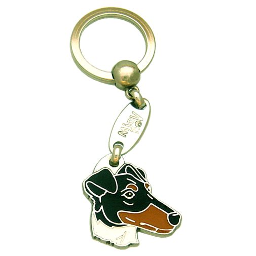 <h3>Custom personalized dog name tag Smooth fox terrier</h3>
This unique, cute and quality dog id tag is offered with laser-engraved name and phone number or your custom text. It comes with a stainless steel split ring for easy attachment to your pet’s collar. All items are also available as keychains.
A perfect gift for dogs and dog lovers.

<strong>Color:</strong> colored/silver
<strong>Size:</strong> 31 x 31 mm (1.22 x 1.22 inch)
<strong>Engraving area:</strong> 18 x 14 mm (0.71 x 0.55 inch); recommended layout up to 4 lines, 15 characters per line.

Laser engraving on the back side is included in the price. Please enter the text you would like engraved (recommended: dog’s name and phone number). The engraving will be centered and easy to read. 
<strong>Important:</strong> If you exceed the recommended text length, the engraving will be significantly smaller and may become difficult to read. For best readability, we strongly recommend keeping the text short and clear.

Metal, chrome plated dog tag or key ring. 
Hand made, hand colored, made in Slovenia. 

In stock.

<h3>About the breed – Smooth fox terrier</h3>
<section>
<h2>Smooth Fox Terrier: Characteristics & Care</h2>
<p>The <strong>Smooth Fox Terrier</strong> is an energetic, brave, and highly intelligent dog breed originating from England. It belongs to the <strong>FCI Group 3 (Terriers)</strong>. Originally bred as a <strong>hunting dog</strong> for work in burrows, it is known for its speed, persistence, and strong prey drive.</p>
<h3>Temperament and Family Life</h3>
<p>Smooth Fox Terriers are lively family dogs that get along well with children and enjoy an active lifestyle. They are <strong>alert, courageous, and very watchful</strong>, making them excellent small watchdogs, always ready to react to their surroundings. Their playful, curious, and slightly stubborn nature requires consistent training, but also makes them extremely entertaining and loyal companions.</p>
<h3>Physical Requirements & Exercise</h3>
<p>To live a healthy and happy life, a Smooth Fox Terrier needs:</p>
<ul>
    <li><strong>Daily Exercise:</strong> Plenty of activity, playtime, and mental challenges.</li>
    <li><strong>Environment:</strong> Space to explore and an active family setting.</li>
    <li><strong>Grooming:</strong> Easy maintenance of the short, smooth <strong>coat</strong> with regular brushing.</li>
</ul>
<p><strong>Pro Tip:</strong> A <strong>personalized engraved dog tag</strong> beautifully highlights the energetic and elegant appearance of your Fox Terrier while serving as a stylish and practical accessory.</p>
</section>
