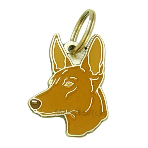 <h3>Custom personalized dog name tag Pharaoh hound</h3>
This unique, cute and quality dog id tag is offered with laser-engraved name and phone number or your custom text. It comes with a stainless steel split ring for easy attachment to your pet’s collar. All items are also available as keychains.
A perfect gift for dogs and dog lovers.

<strong>Color:</strong> colored/silver
<strong>Size:</strong> 27 x 37 mm (1.06 x 1.46 inch)
<strong>Engraving area:</strong> 20 x 16 mm (0.79 x 0.63 inch); recommended layout up to 4 lines, 15 characters per line.

Laser engraving on the back side is included in the price. Please enter the text you would like engraved (recommended: dog’s name and phone number). The engraving will be centered and easy to read. 
<strong>Important:</strong> If you exceed the recommended text length, the engraving will be significantly smaller and may become difficult to read. For best readability, we strongly recommend keeping the text short and clear.

Metal, chrome plated dog tag or key ring. 
Hand made, hand colored, made in Slovenia. 

In stock.

<h3>About the breed – Pharaoh hound</h3>
<section>
<h2>Pharaoh Hound: Characteristics & Care</h2>
<p>The <strong>Pharaoh Hound</strong> is an elegant, athletic, and ancient dog breed originating from Malta. It belongs to the <strong>FCI Group 5 (Spitz and Primitive Types)</strong>. Bred as a <strong>hunting dog</strong>, it is known for its slender build, short glossy coat, and unique ability to blush when excited.</p>
<h3>Temperament and Family Life</h3>
<p>Pharaoh Hounds are affectionate and loyal family companions that get along well with children and form strong bonds with their owners. They are <strong>alert, intelligent, and playful</strong>, making them good watchdogs while remaining friendly and gentle. Their energetic and curious nature suits active families and environments where they have enough space to move.</p>
<h3>Physical Requirements & Exercise</h3>
<p>To live a healthy and happy life, a Pharaoh Hound needs:</p>
<ul>
    <li><strong>Daily Exercise:</strong> Plenty of running, play, and active walks.</li>
    <li><strong>Environment:</strong> A spacious and safe environment with room to move.</li>
    <li><strong>Grooming:</strong> Minimal brushing of the short, smooth <strong>coat</strong>.</li>
</ul>
<p><strong>Pro Tip:</strong> A <strong>personalized engraved dog tag</strong> beautifully highlights the elegant and noble appearance of your Pharaoh Hound while serving as a practical and stylish accessory.</p>
</section>
