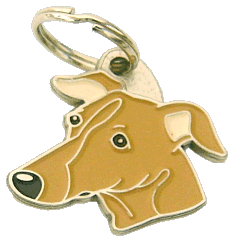 Sighthound brown