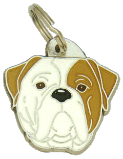 American bulldog brown eyed