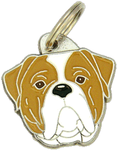 American bulldog white and brown