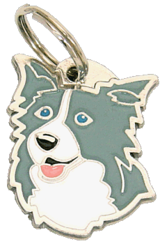 Border collie blue - pet ID tag, dog ID tags, pet tags, personalized pet tags MjavHov - engraved pet tags online