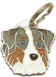 Australian shepherd blue merle