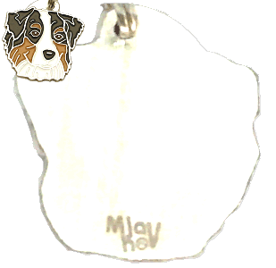 pet ID tag, dog ID tags, pet tags, personalized pet tags MjavHov - engraved pet tags online
