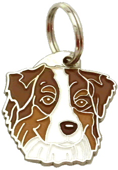 Australian shepherd red