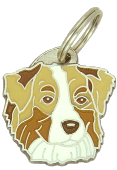 Australian shepherd red merle, brown eyes
