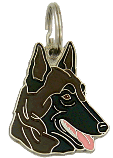 Belgian shepherd, malinois dark brown