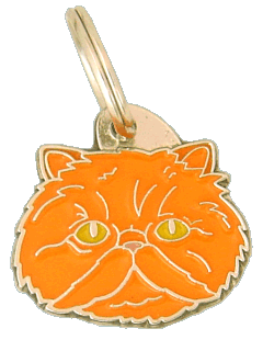 Persian cat red