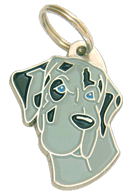 Great dane blue merle - pet ID tag, dog ID tags, pet tags, personalized pet tags MjavHov - engraved pet tags online