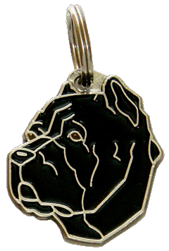 Cane corso cropped ears black