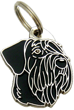 Giant schnauzer black