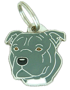 Staffordshire bullterrier grey