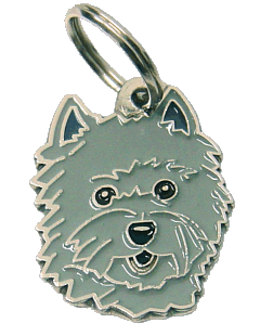 Cairn terrier grey