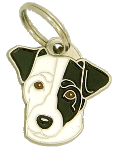Russell terrier white, black eyed