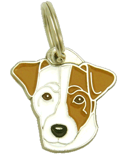 Russell terrier white, brown ear