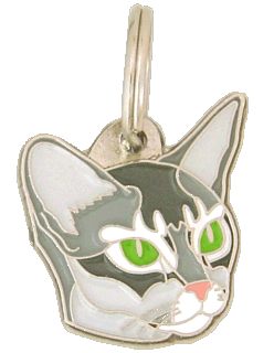 Abyssinian blue <br> (pet tag, engraving included)