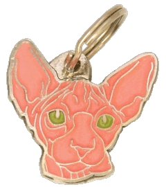 Sphynx cat pink