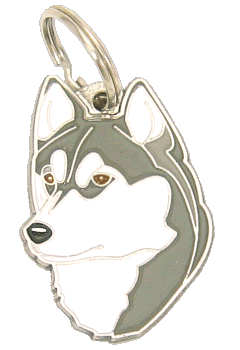 Siberian husky, brown eyes