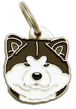 Akita inu white brindle