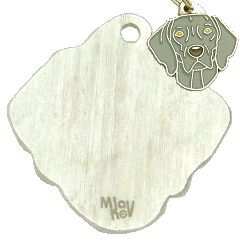 pet ID tag, dog ID tags, pet tags, personalized pet tags MjavHov - engraved pet tags online