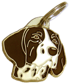 German shorthaired pointer white brown