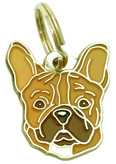 French bulldog brown