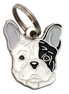 French bulldog white, black eyed