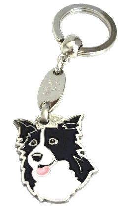 Border collie