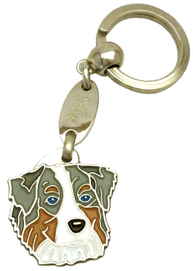 Australian shepherd blue merle