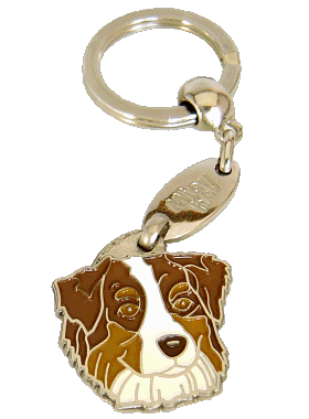 Australian shepherd red