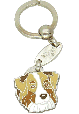 Australian shepherd red merle, brown eyes