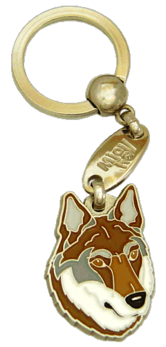 Czechoslovakian wolfdog brown
