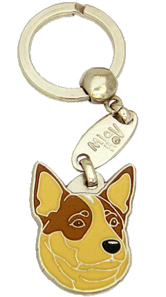 Australian cattle dog red