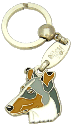 Smooth collie blue merle