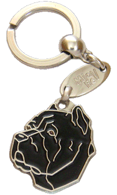 Cane corso cropped ears black