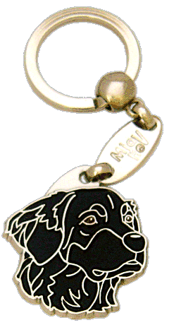 Hovawart black