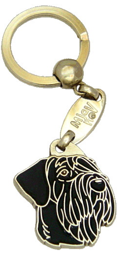 Giant schnauzer black