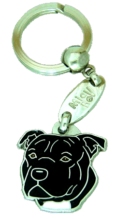 Staffordshire bullterrier black