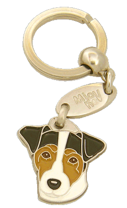 Russell terrier tricolor