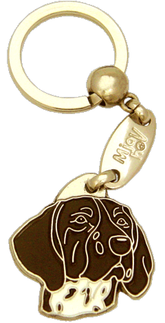 German shorthaired pointer brown