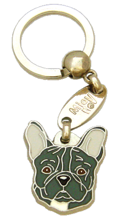 French bulldog grey