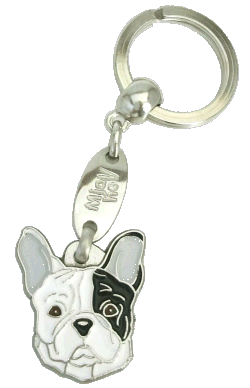 French bulldog white, black eyed