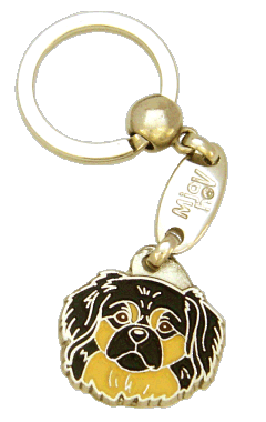 Tibetan spaniel black and cream